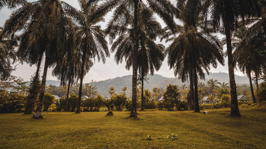 Sementra Hot Spring Nature Resort - Tap to explore photos