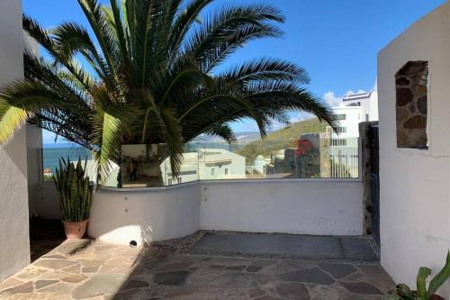 Patio studio, Ensenada