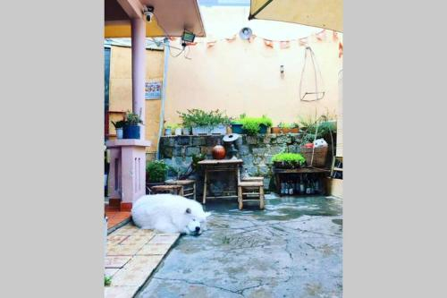 Lil Smile's Home, Đà Lạt