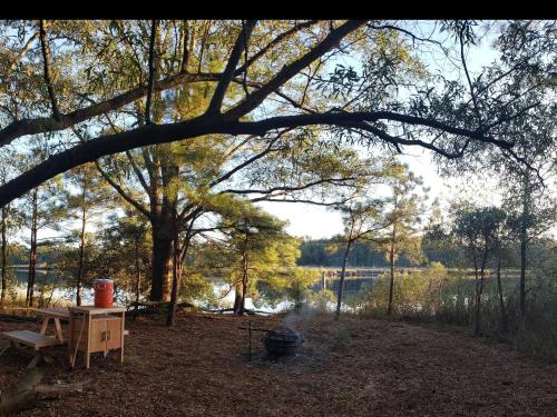 5, Tentrr Signature Site - Otter's Den, Chesapeake