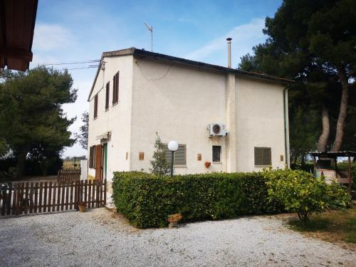Il Nido del Fenicottero, Livorno