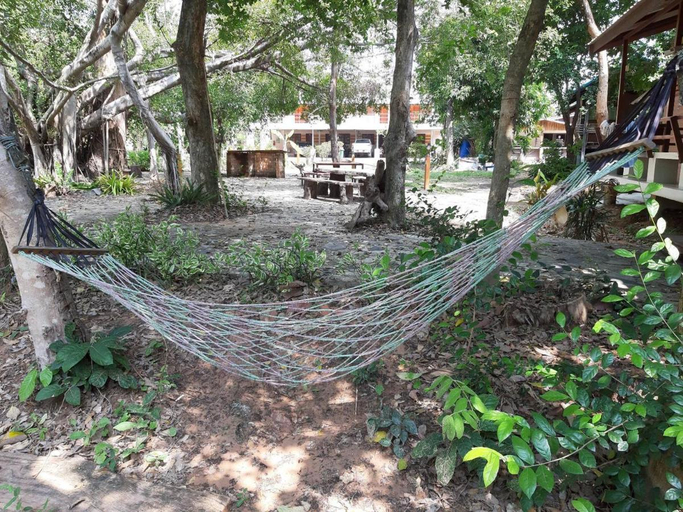 Others 5, Forest, Muang Roi Et