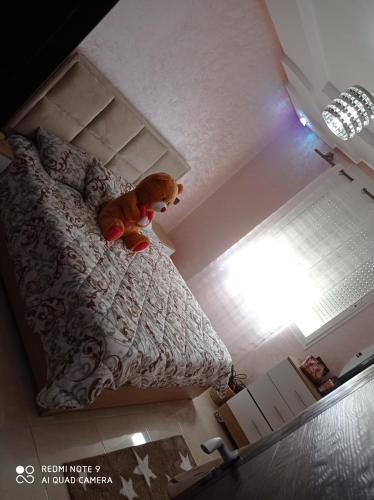 Others 4, Maisonbel, Agadir-Ida ou Tanane