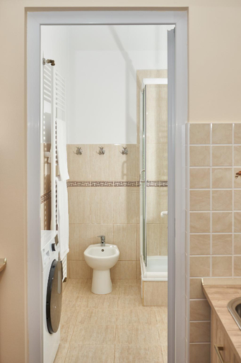 Bathroom 2, Confort House Plus, Alba Iulia