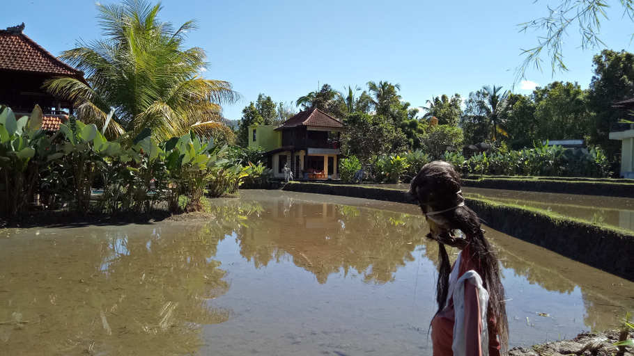 Exterior & Views 2, Atres Villa, Buleleng