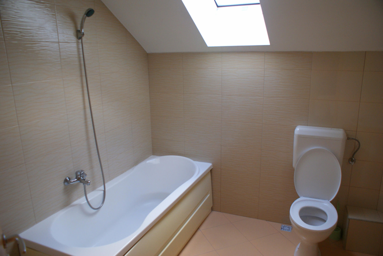Bathroom 4, Casa Ardeleneasca, Dumbravita