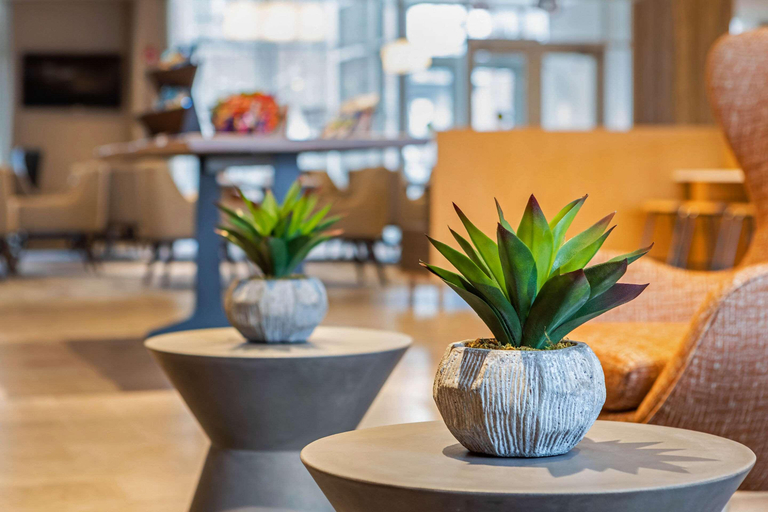 Public Area 4, Cambria Hotel Calabasas - Malibu, Los Angeles