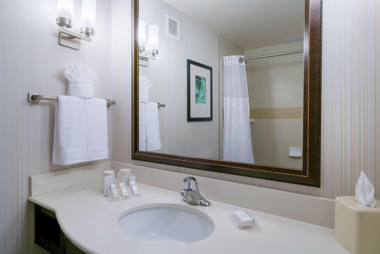 Bathroom 8