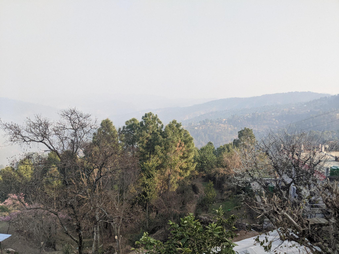 Double Room with Balcony and Mountain views, Almora