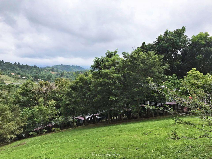(Bullfrogfarm) HillSide 2, Wang Num Khiaw