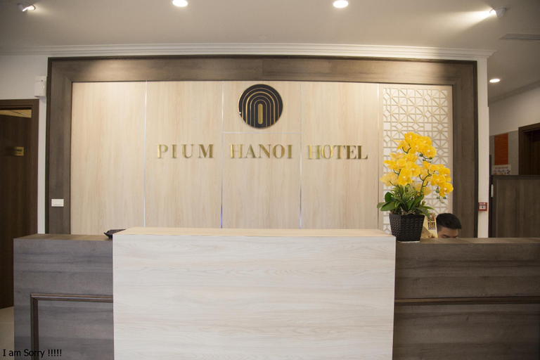 Public Area 2, Pium Hanoi Hotel, Cầu Giấy
