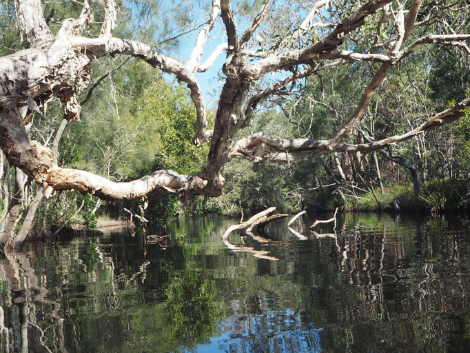 Public Area 2, Lake Weyba Cottages, Maroochy