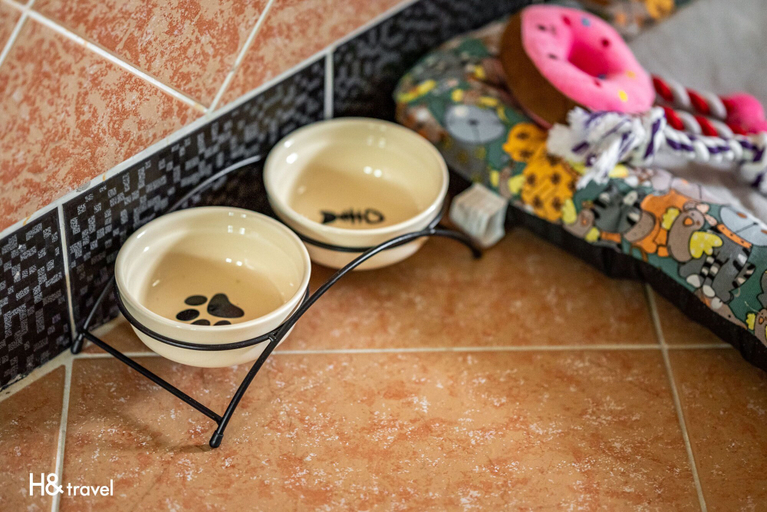 Food & Drinks 5, Shantyi BnB, Hualien
