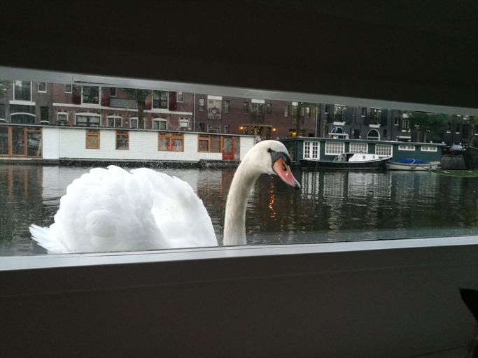 Others 5, Luxury Houseboat Amsterdam Centre 110m2 3br, Amsterdam