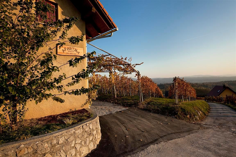 Others 4, Vineyard cottage Brodaric, Metlika