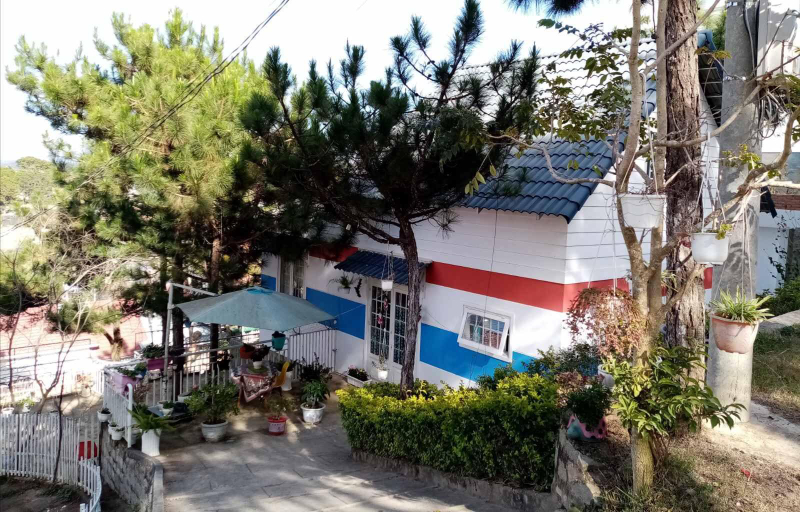 yyy, Đà Lạt