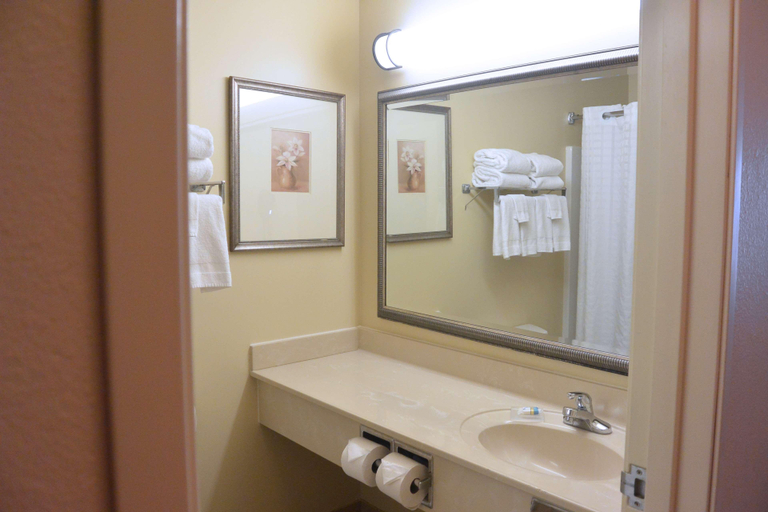 Bathroom 4, Country Inn & Suites by Radisson, Peoria North, IL, Peoria