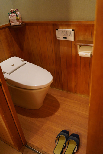 Bathroom 4, Hidatei Hanaougi, Takayama