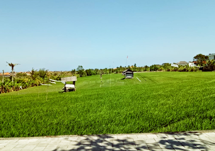 Scenery 11