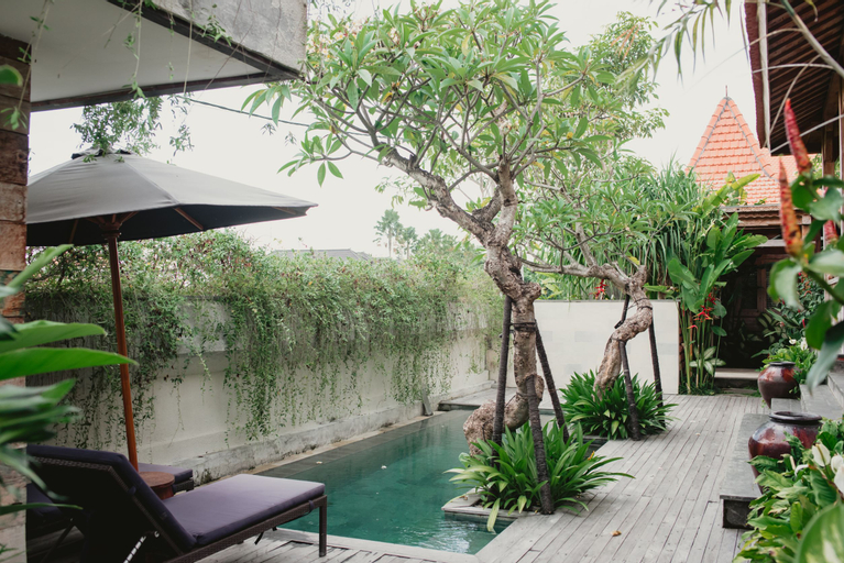 Swimming Pool 13