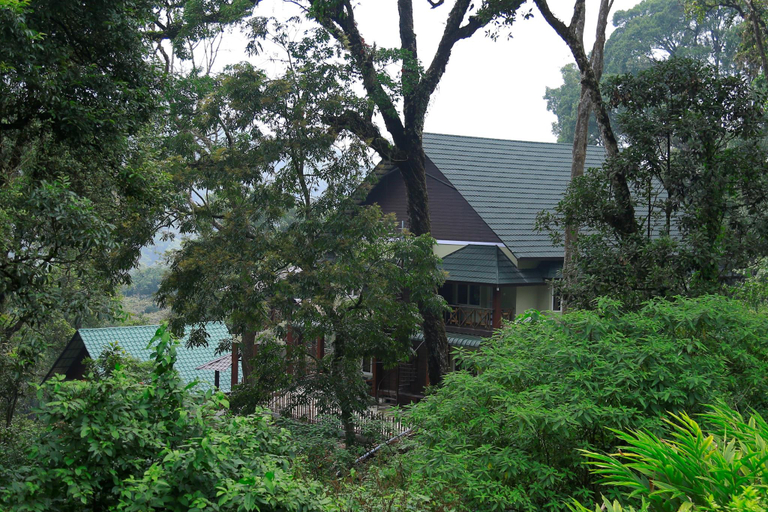 Others 1, Raarees Mist Resort, Idukki