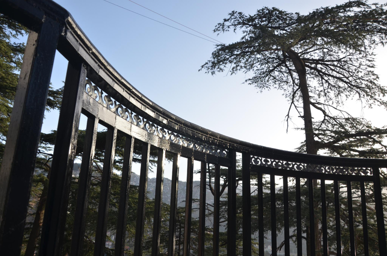 Exterior & Views 2, Hotel Shining Star, Shimla