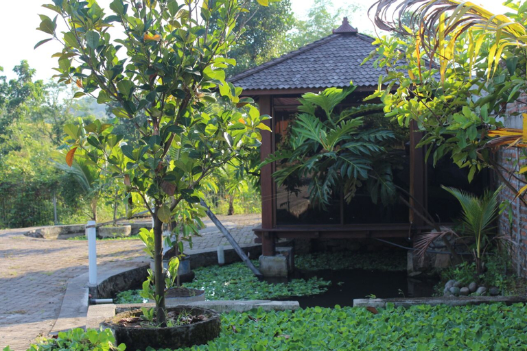 Rumah Kayu Pinggir Kali, Pasuruan