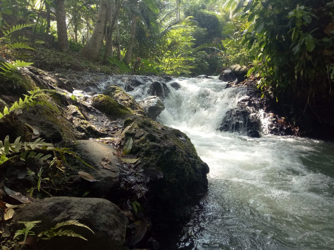 Scenery 16