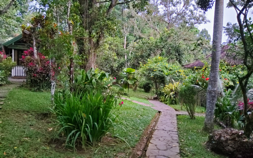 Scenery 13