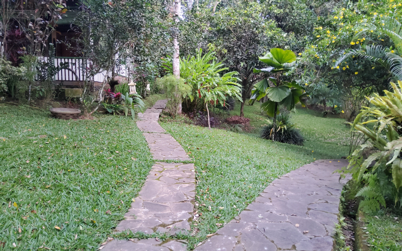 Scenery 11