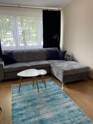 Apartament Mickiewicza 11, Sandomierz
