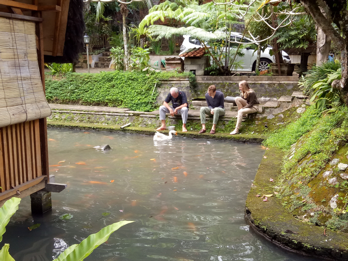 Scenery 30