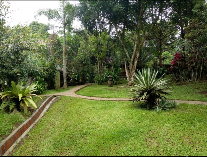 Scenery 20