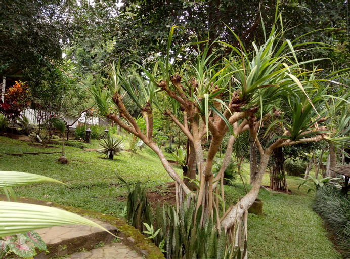 Scenery 18