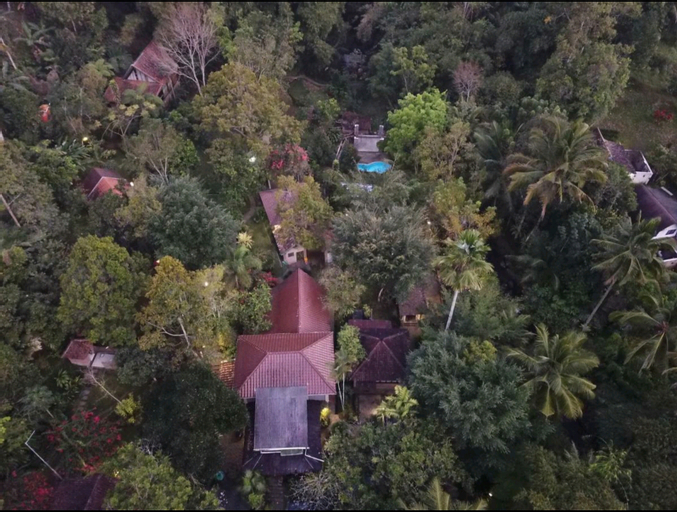 Scenery 19