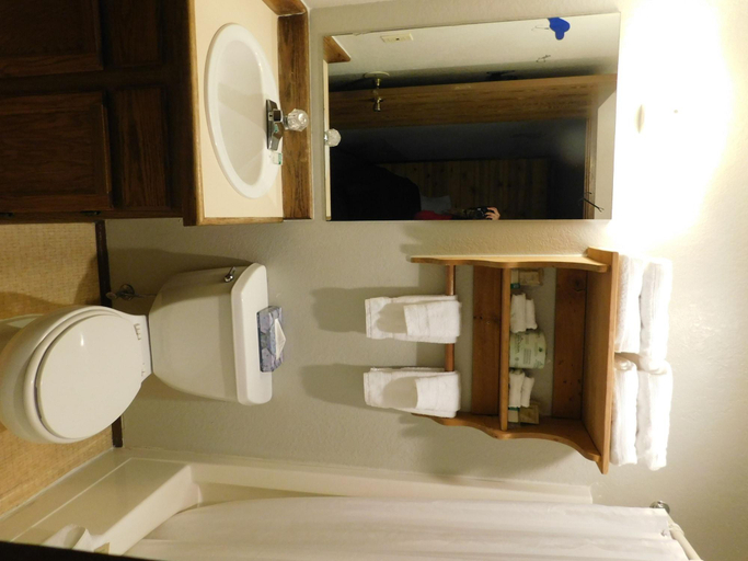 Bathroom 4, Packwood Inn, Lewis