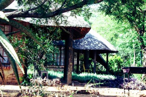 African Casa Chalets and Campsite, South East