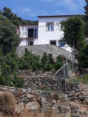 Casa delle Gemelle, Livorno