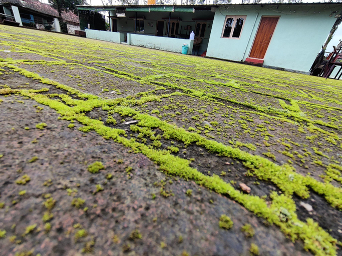 Skylamp Homestay, Chikmagalur