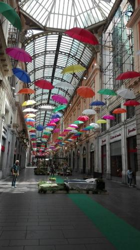 Superba house, Genova