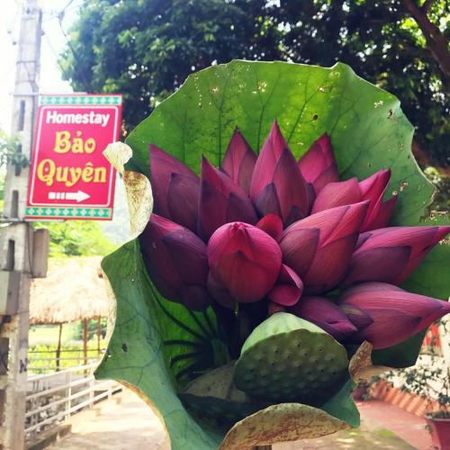 Homestay Bao Quyen, Mai Châu