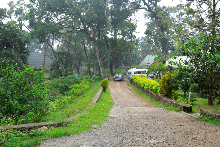 Others 2, Raarees Mist Resort, Idukki