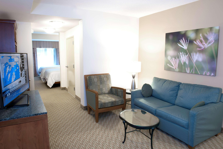 Public Area 2, Hilton Garden Inn Rock Hill, York