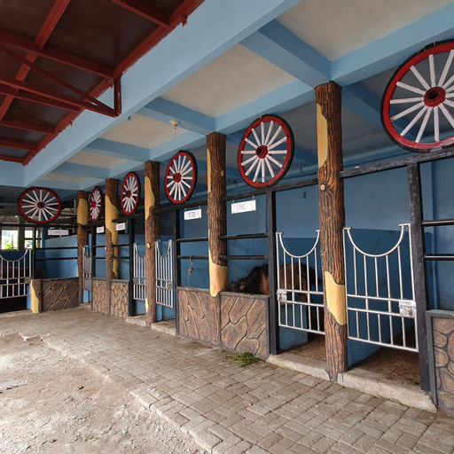 Family & Kids, RTM Stable & Homestay, Karo