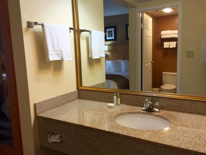 Bathroom 2, Spark by Hilton Fishkill, Dutchess
