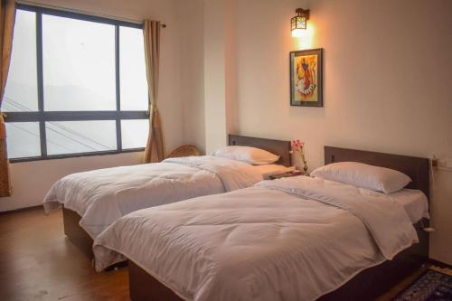 Odyssey's Tea View Homestay, Darjiling