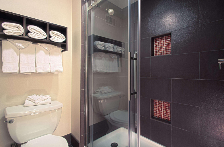 Bathroom 4, Hampton Inn & Suites Columbus-Downtown, Franklin