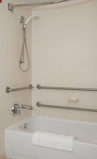 Bathroom 4, Hilton Garden Inn Charlotte North, Mecklenburg