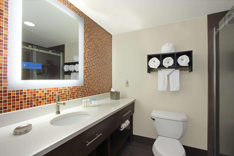 Bathroom 4, Hampton Inn & Suites Columbus-Downtown, Franklin