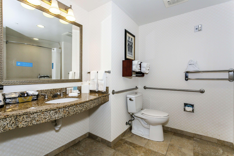 Bathroom 4, Hampton Inn & Suites Mobile- Downtown Historic , Mobile
